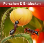 xplorerzone - forschen und entdecken